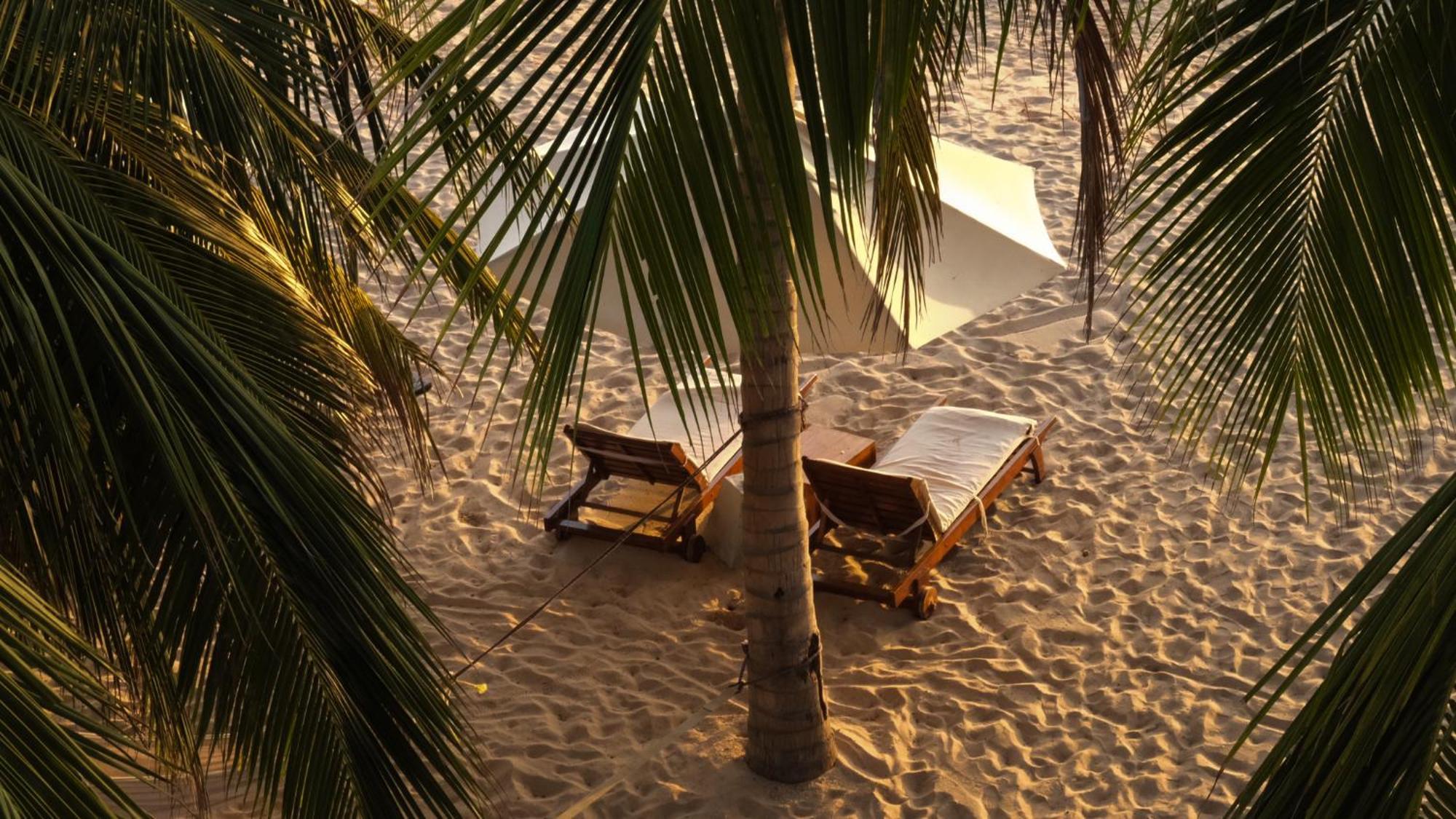 Cardamon Hotel نيلافيلي المظهر الخارجي الصورة