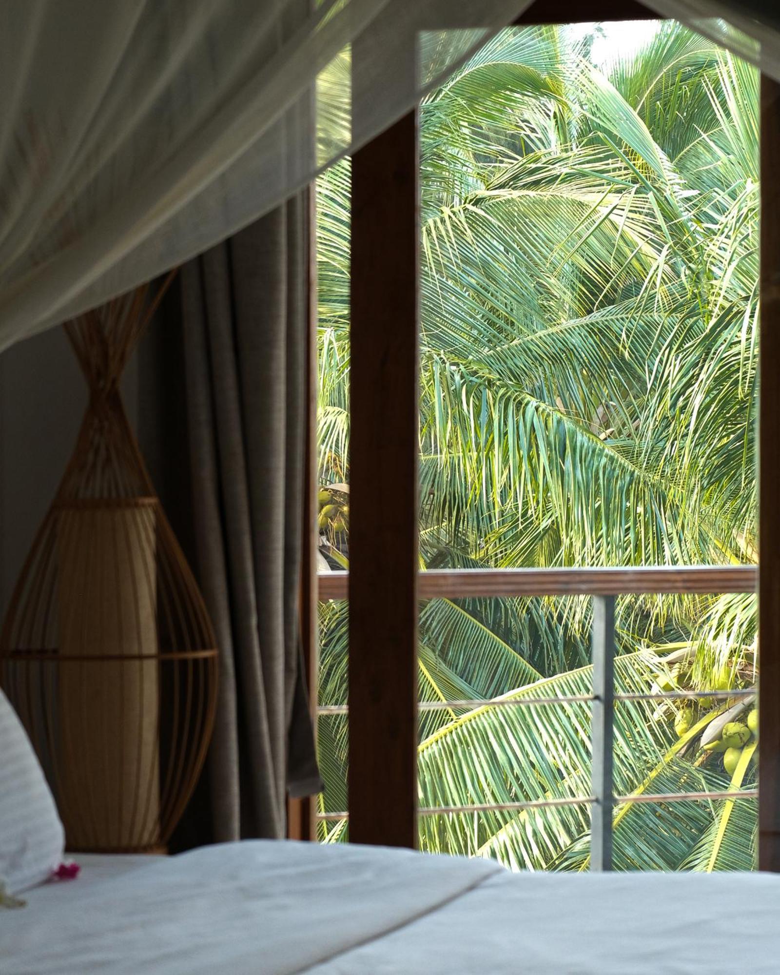 Cardamon Hotel نيلافيلي المظهر الخارجي الصورة